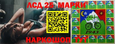 apvp Гусев